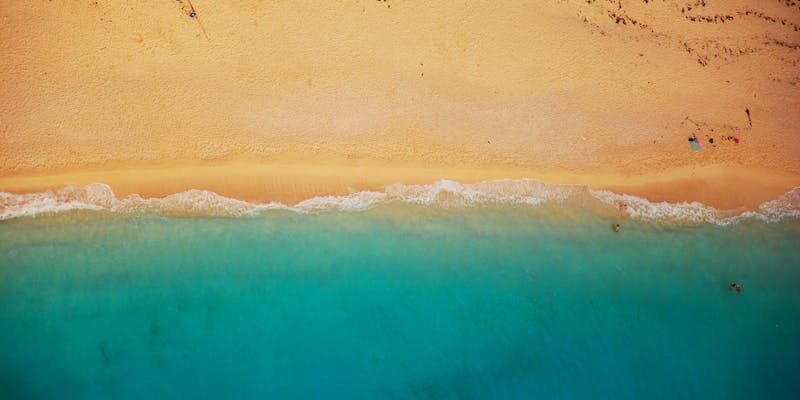 O que fazer na Praia do Forte, Bahia?